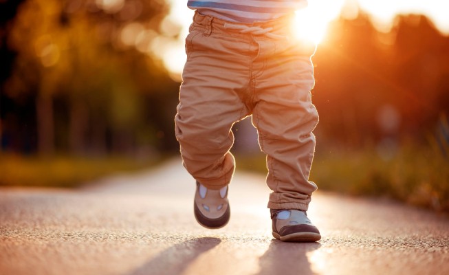 Gdzie pan go znalazł?